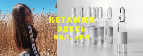 гашик Дмитровск