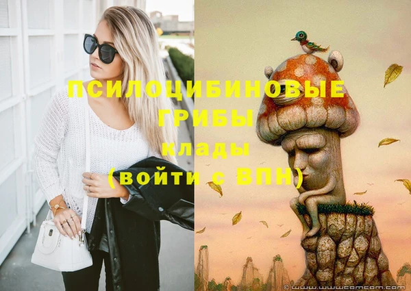 гашик Дмитровск