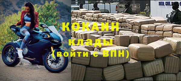 гашик Дмитровск