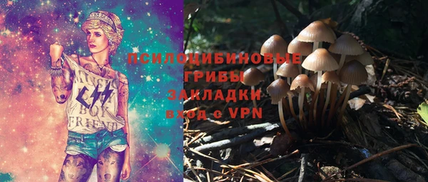 таблы Дмитриев