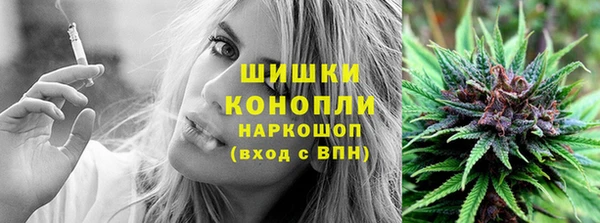 гашик Дмитровск