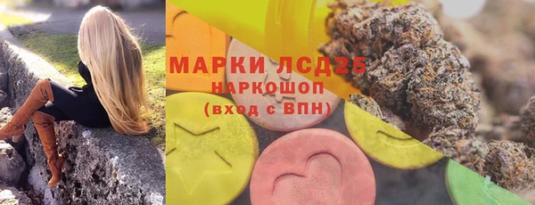 гашик Дмитровск