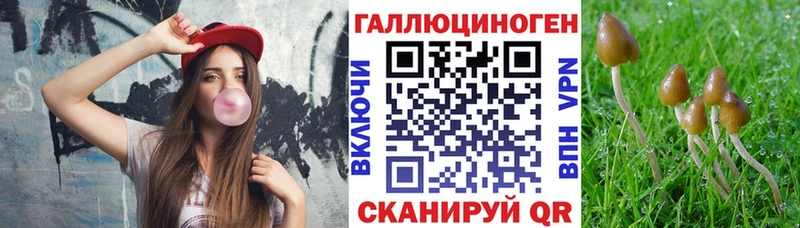 Псилоцибиновые грибы Cubensis  Зубцов 